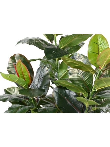 Ficus artificiel (Rubber tree)
