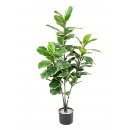Ficus artificiel (Rubber tree) Vert/Crème