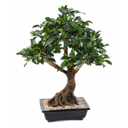 Bonsa&iuml; artificiel Ficus 58 CM