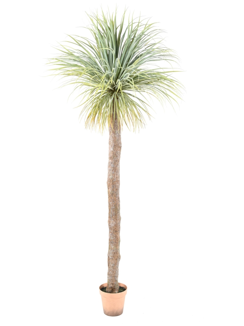 Agave artificielle géante