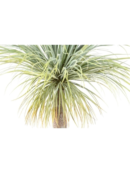 Agave artificielle géante