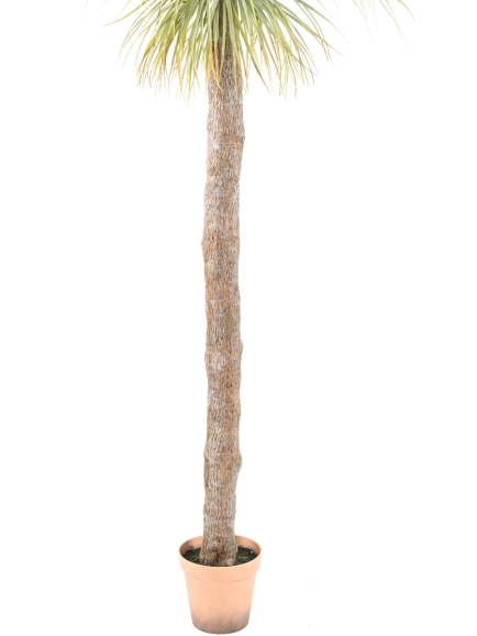 Agave artificielle géante