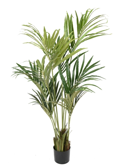 Kentia artificiel eco