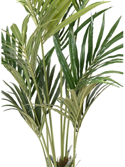Kentia artificiel eco