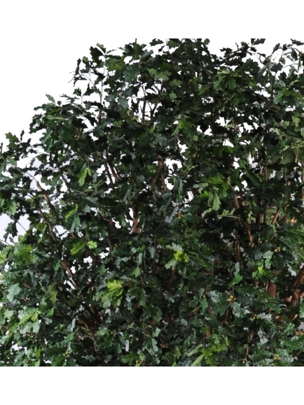 Chene arbre artificiel - 350 cm de haut