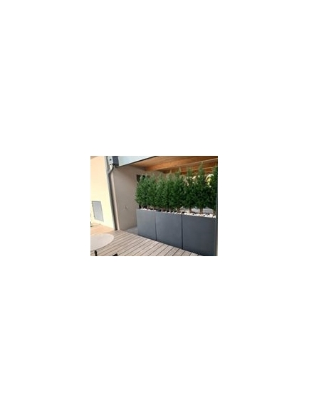 Cyprès artificiel DE LAWSON UV résistant