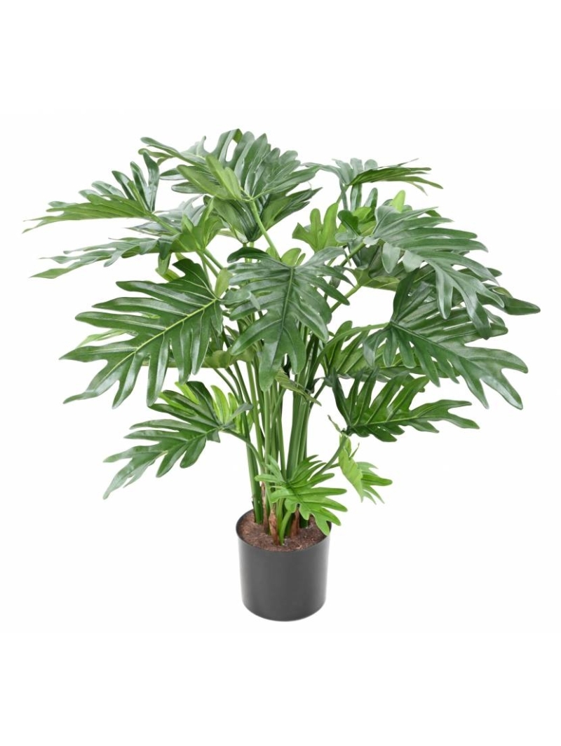Phillodendron artificiel SELLOUM