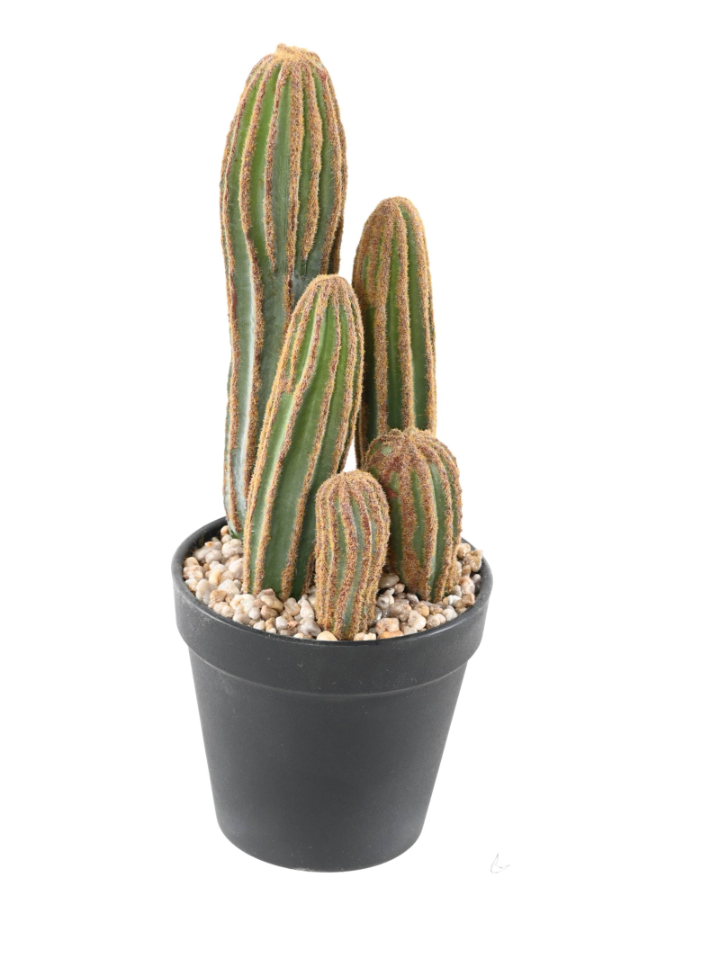 Cactus artificiel Finger X
