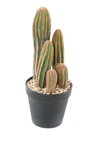 Cactus artificiel Finger X