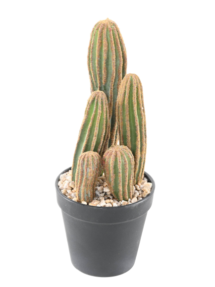 Cactus artificiel Finger X