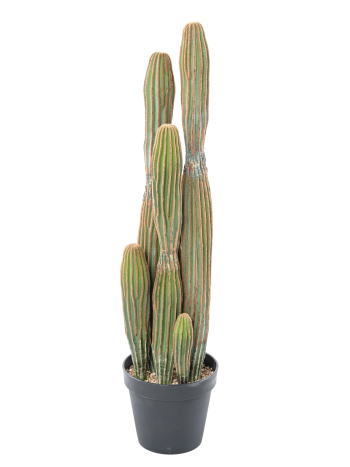 Cactus artificiel finger x