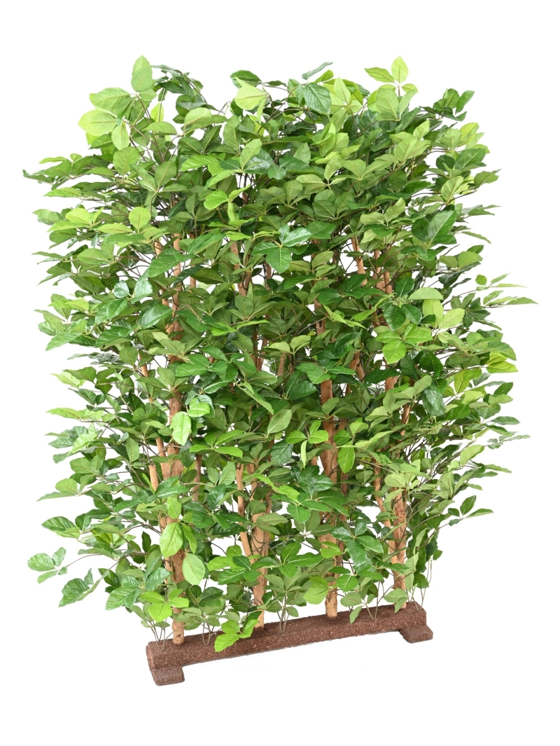 Hêtre artificiel Grandifolia haie