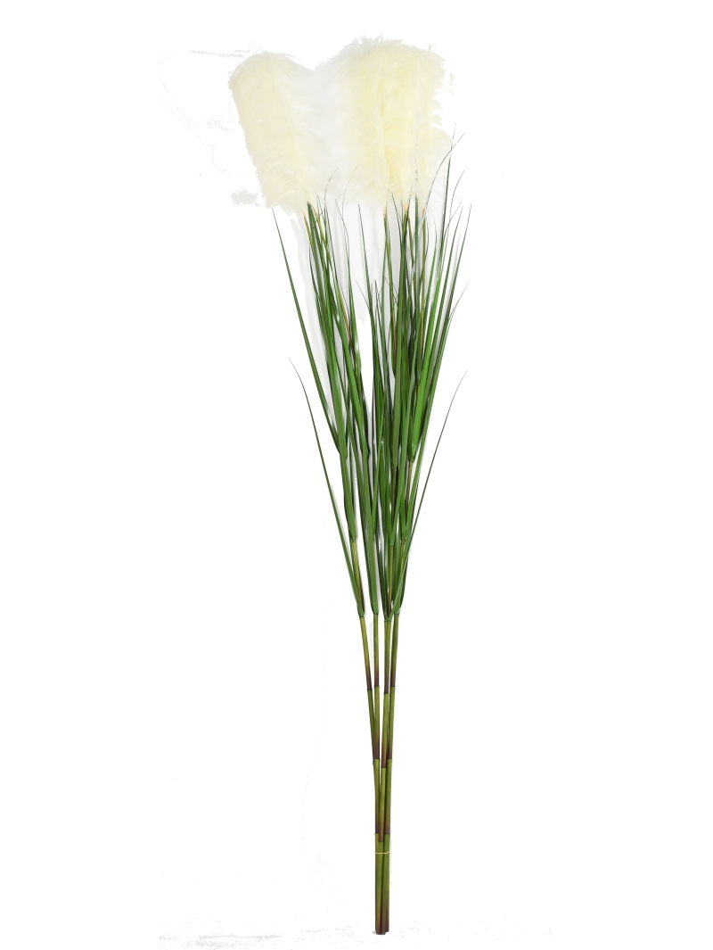 Graminée artificielle Carex Vulpina (fleur de la Pampa)