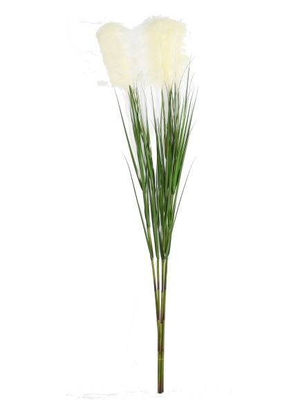Graminée artificielle Carex Vulpina (fleur de la Pampa)