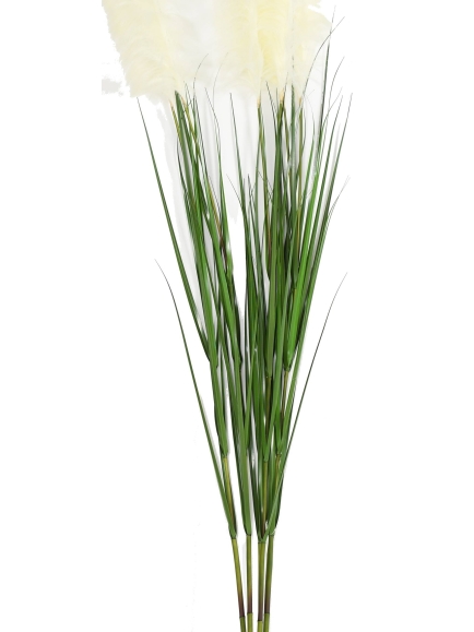 Graminée artificielle Carex Vulpina (fleur de la Pampa)