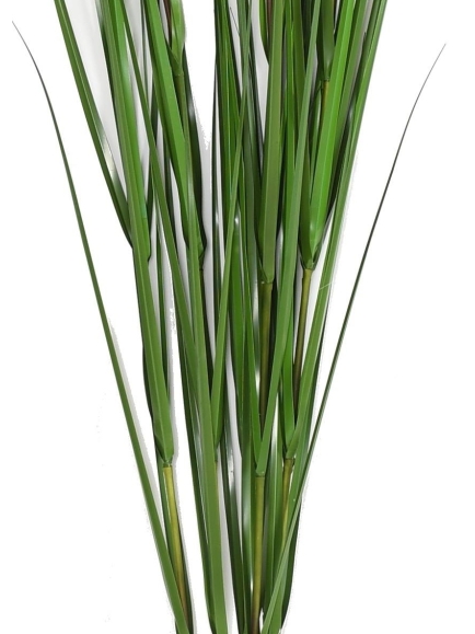 Graminée artificielle Carex Vulpina (fleur de la Pampa)
