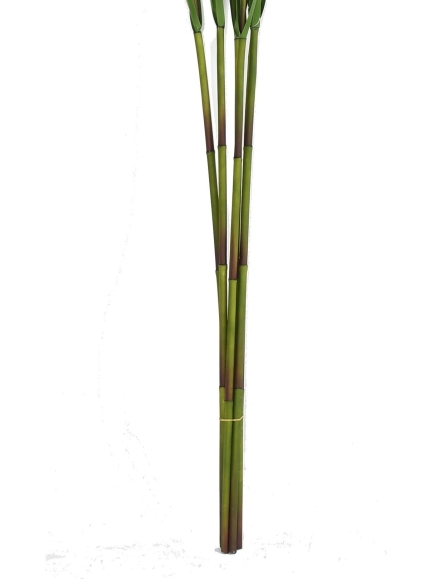 Graminée artificielle Carex Vulpina (fleur de la Pampa)