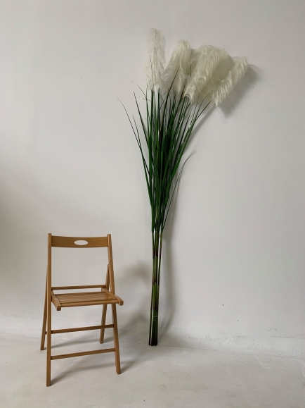 Graminée artificielle Carex Vulpina (fleur de la Pampa)