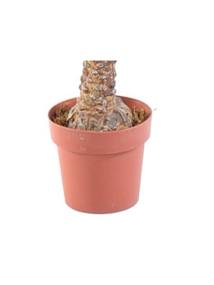 Palmier Phoenix artificiel