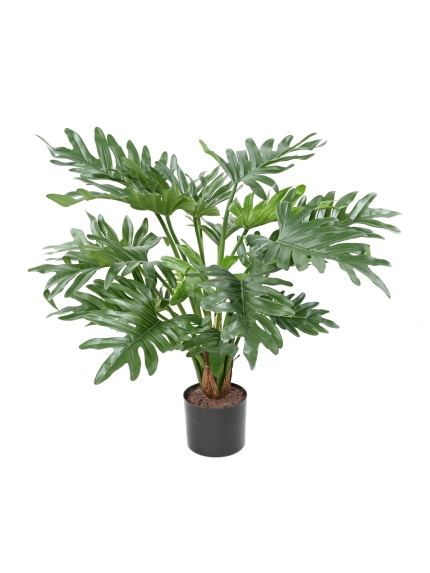 Phillodendron artificiel SELLOUM