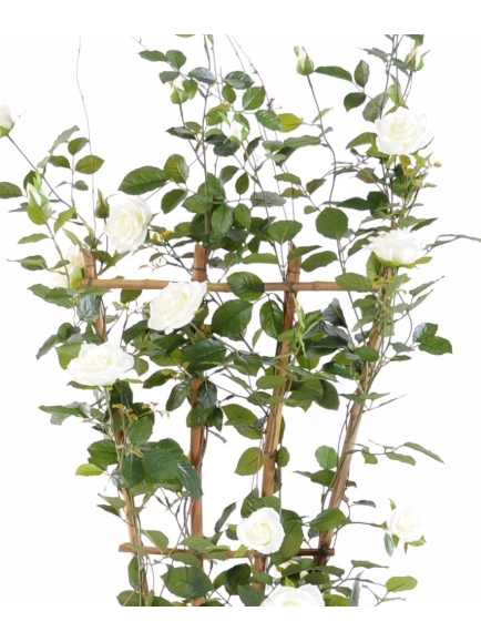 Rosier palissade Royal artificiel