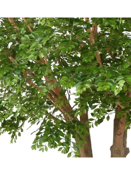 Arbre Bucida artificiel géant