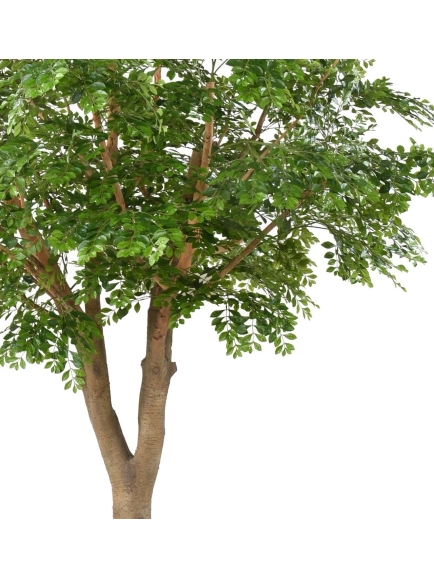 Arbre Bucida artificiel géant