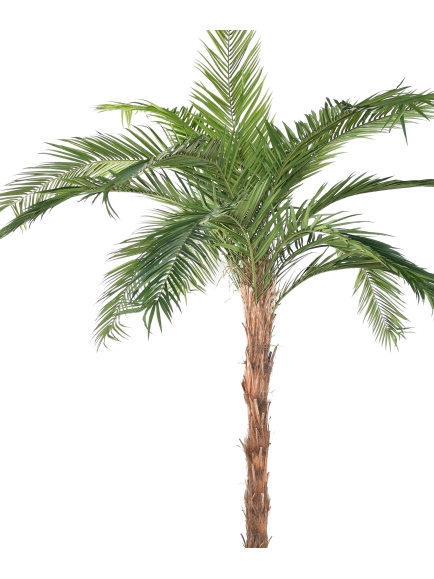 Palmier Phoenix Canariensis artificiel