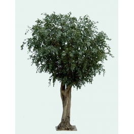Ficus artificiel Tree g&eacute;ant 650 CM