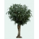 Ficus artificiel Tree g&eacute;ant 350 CM
