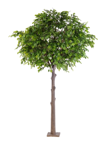 Chêne artificiel tête géant