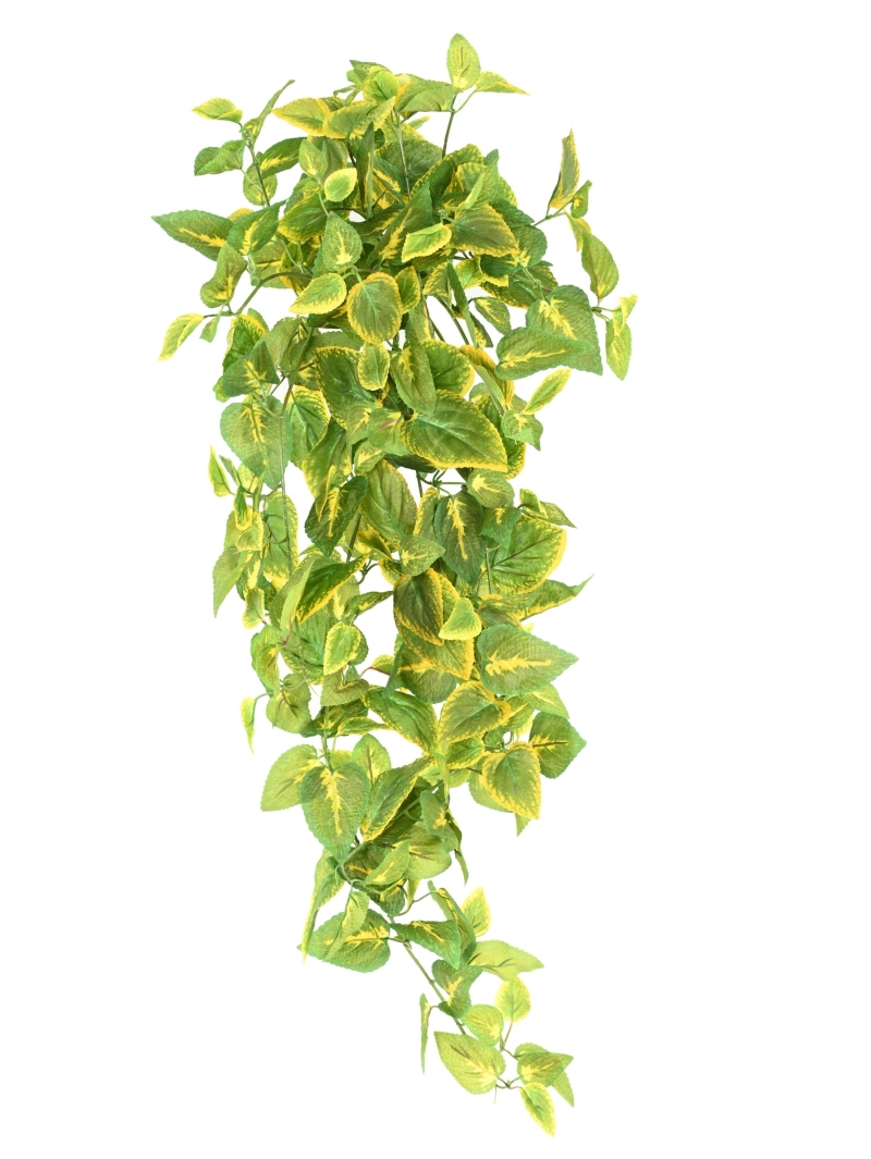 Chute artificielle Coléus