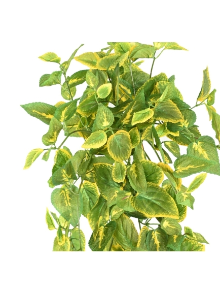 Chute artificielle Coléus