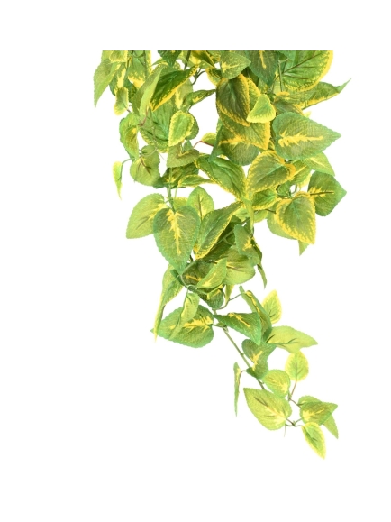 Chute artificielle Coléus