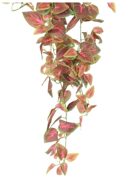 Chute artificielle Coléus rouge