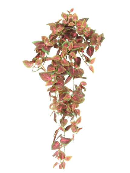 Chute artificielle Coléus rouge