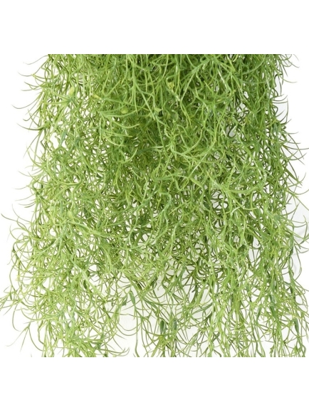 Chute artificielle Tillandsia (mousse Espagnol)
