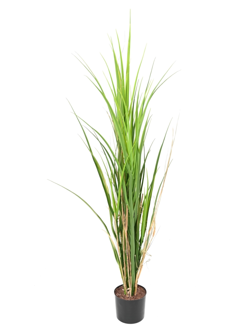 Herbe graminée artificielle