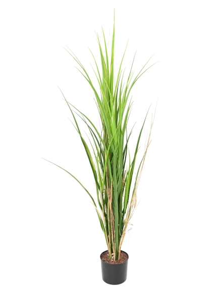 Herbe graminée artificielle
