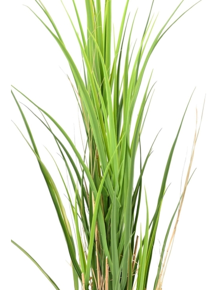 Herbe graminée artificielle