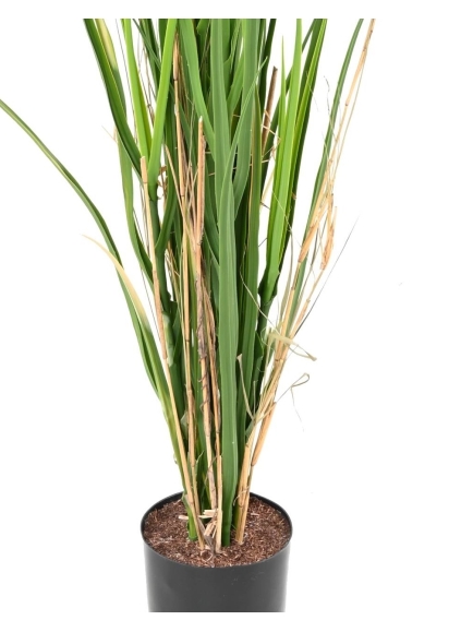 Herbe graminée artificielle