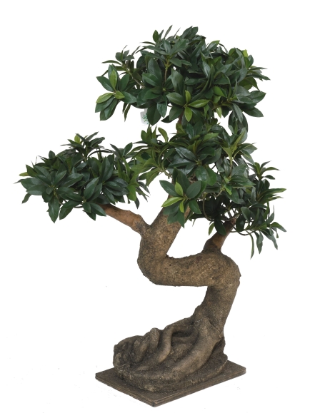 Bonsaï artificiel Euonymus Japonicus