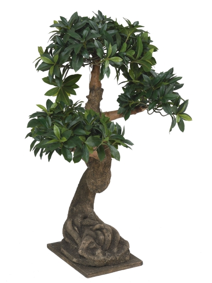 Bonsaï artificiel Euonymus Japonicus