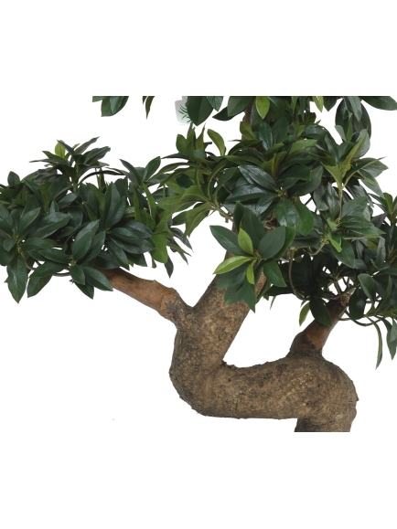 Bonsaï artificiel Euonymus Japonicus