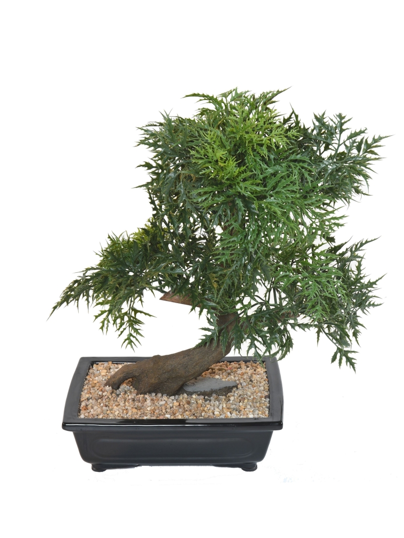Bonsaï Artificiel Aralia
