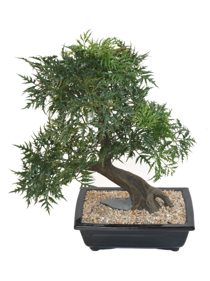 Bonsaï Artificiel Aralia