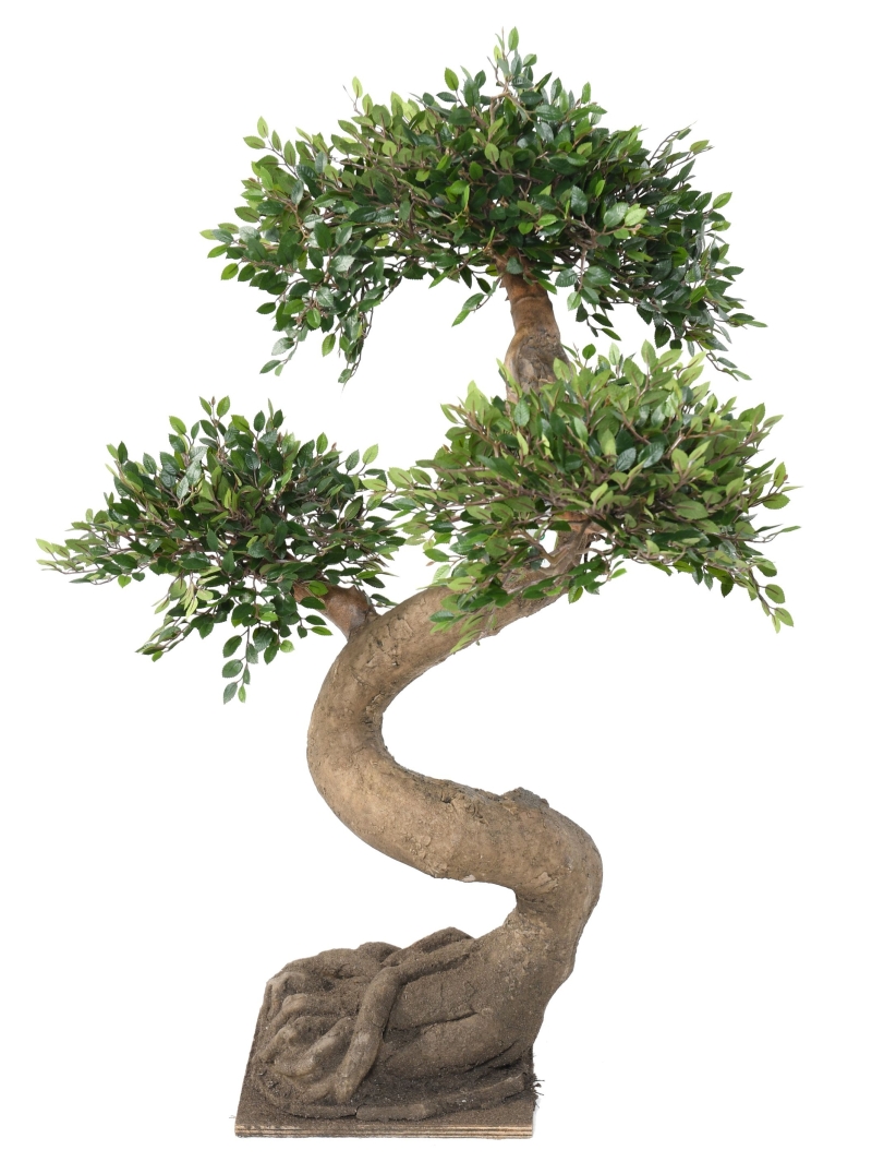Bonsaï Artificiel Orme