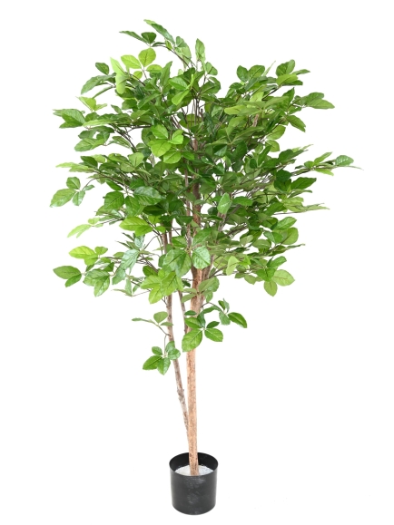 Hêtre artificiel Grandifolia
