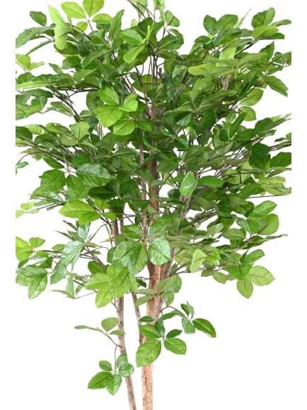 Hêtre artificiel Grandifolia