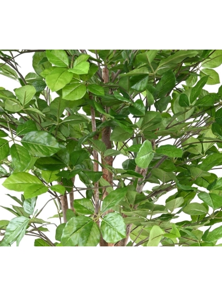 Hêtre artificiel Grandifolia